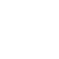 Vin Sol white diamond logo